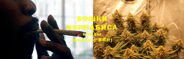 СК Ладушкин
