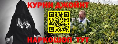 хмурый Кингисепп