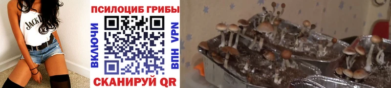 Галлюциногенные грибы мухоморы  Ханты-Мансийск 