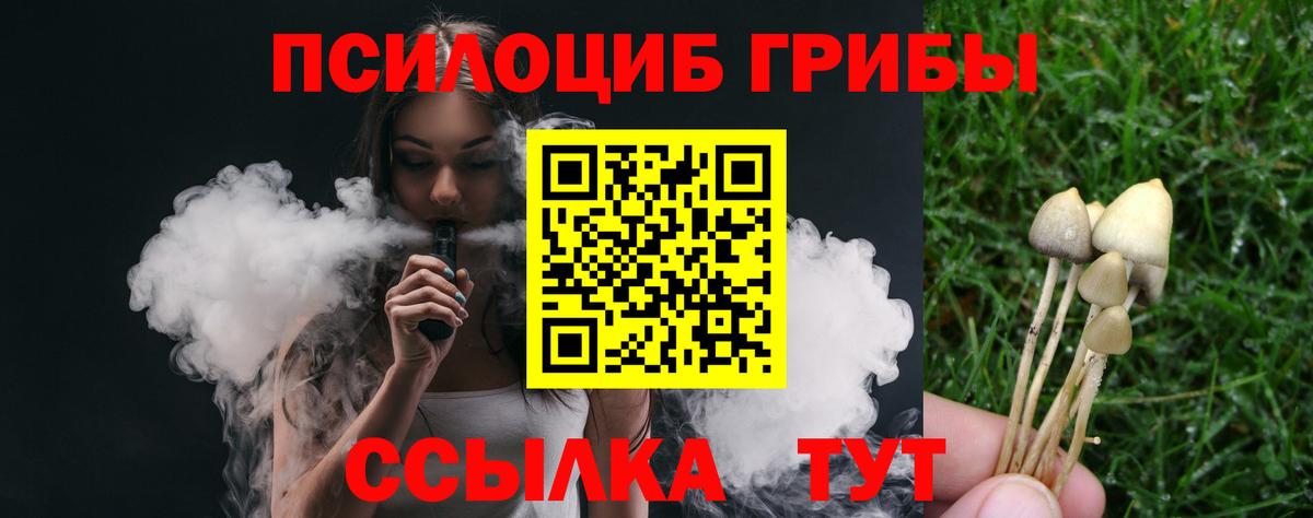 магазин  наркотиков  Ханты-Мансийск  Псилоцибиновые грибы GOLDEN TEACHER 