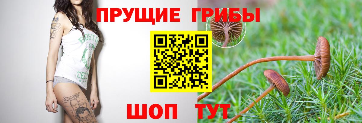 Псилоцибиновые грибы GOLDEN TEACHER Ханты-Мансийск
